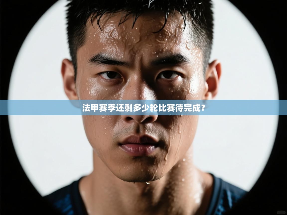 法甲赛季还剩多少轮比赛待完成？