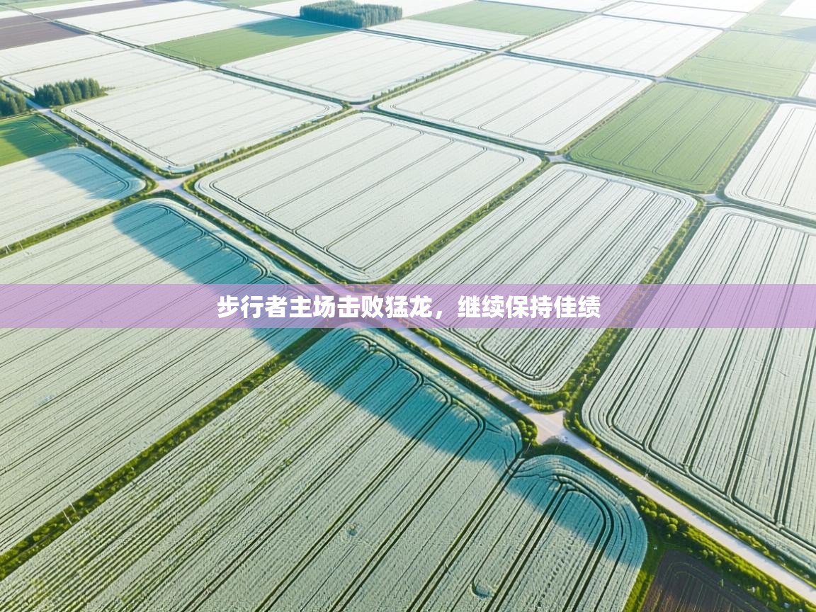 步行者主场击败猛龙,继续保持佳绩 第2张