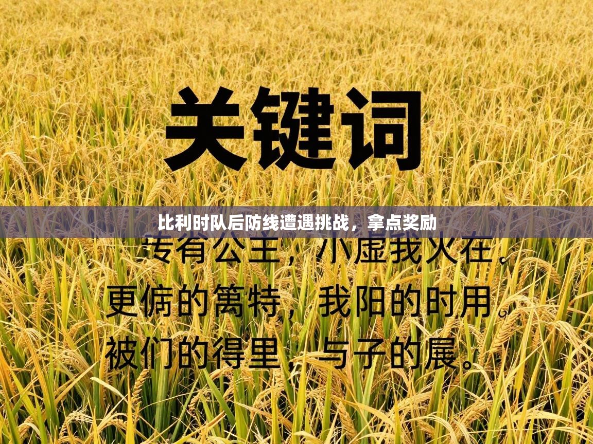 比利时队后防线遭遇挑战，拿点奖励