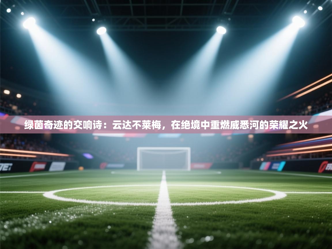 绿茵奇迹的交响诗：云达不莱梅，在绝境中重燃威悉河的荣耀之火  第1张