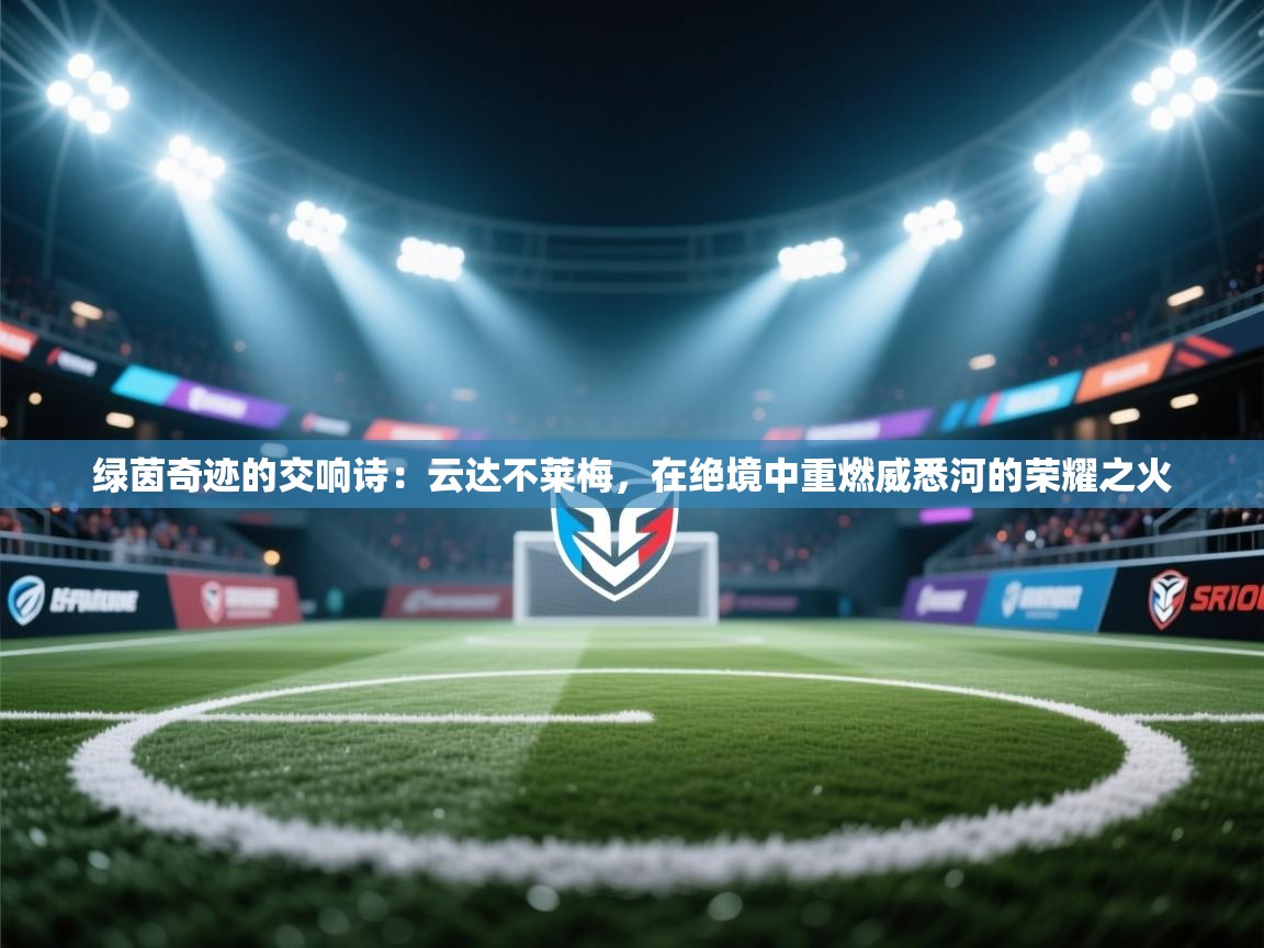 绿茵奇迹的交响诗：云达不莱梅，在绝境中重燃威悉河的荣耀之火  第2张