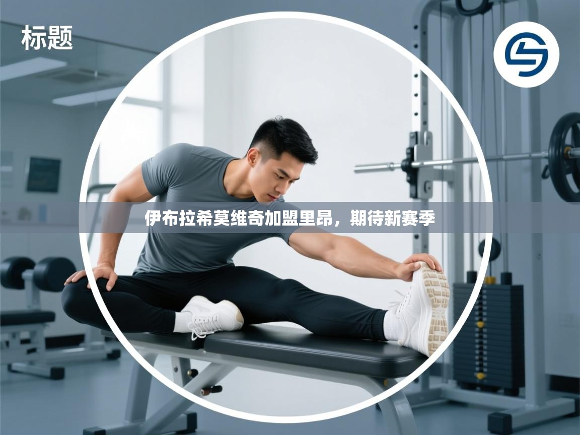 伊布拉希莫维奇加盟里昂，期待新赛季