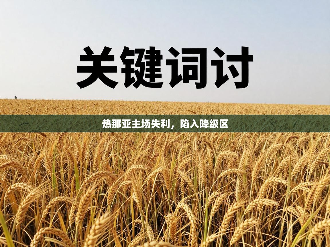 热那亚主场失利，陷入降级区  第1张