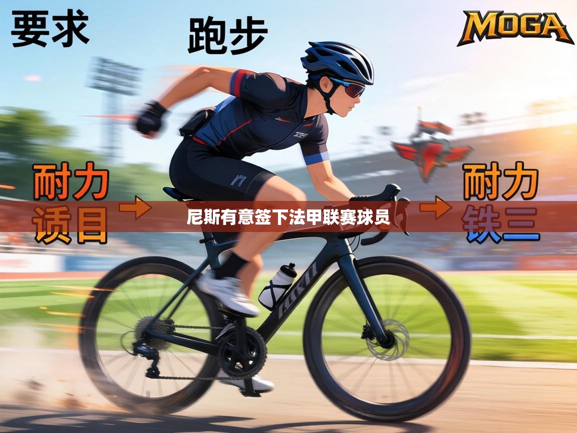 尼斯有意签下法甲联赛球员